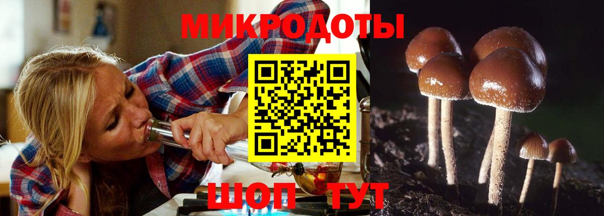 Псилоцибиновые грибы ЛСД  Вход с VPN  Новоалтайск 